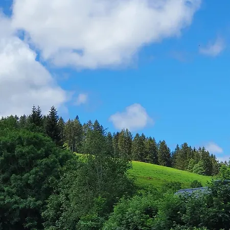 Apartment Hitz Hinterzarten