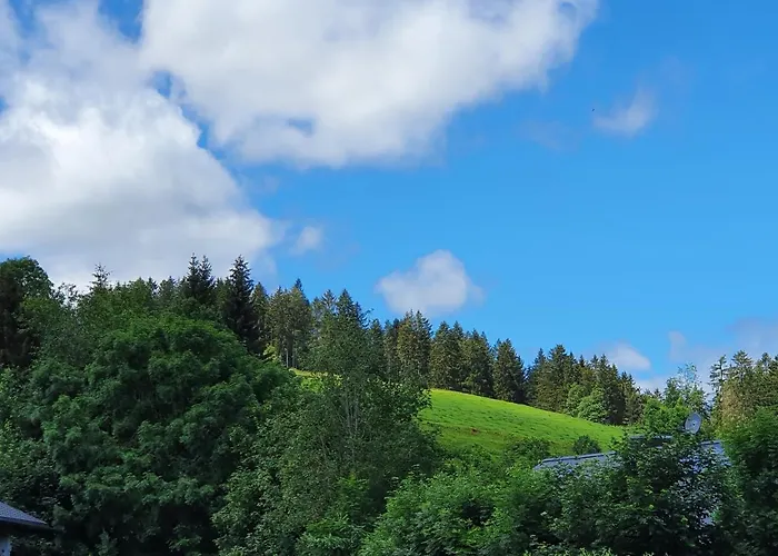Lägenhet Hitz Hinterzarten